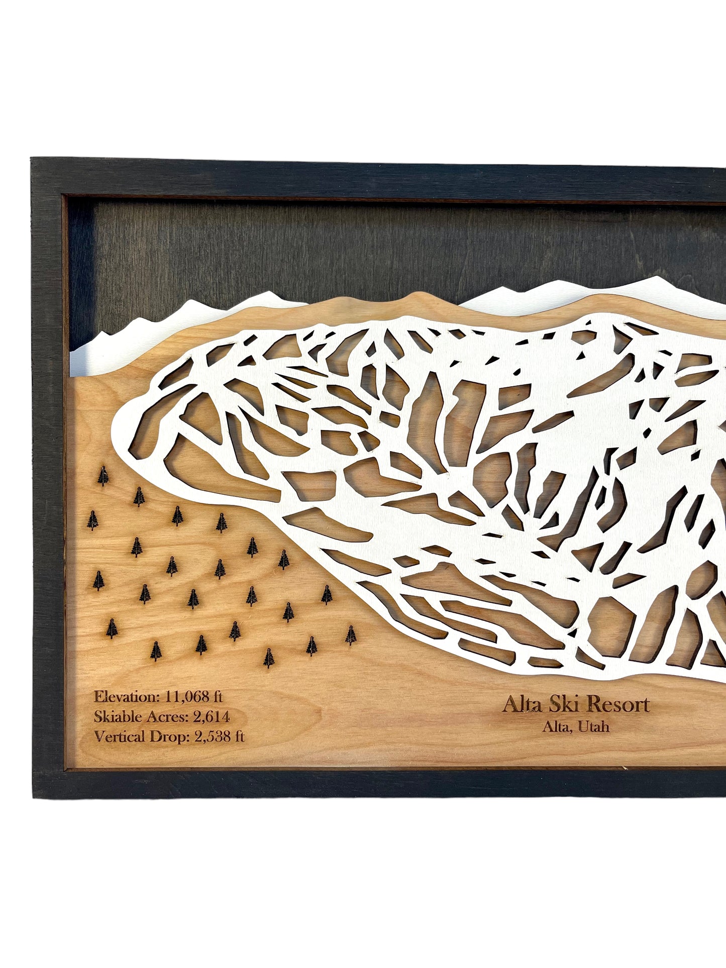 Alta Ski Resort Wooden Trail Map